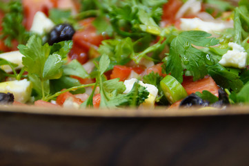 Salad with cheese and fresh  vegetables