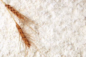 White flour with wheat ears from top view close up background