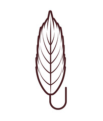 decorative feather isolated icon