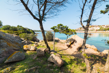Fototapeta na wymiar rocks and trees by the sea