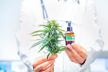 doctor hand hold and offer to patient medical marijuana and oil. Cannabis recipe for personal use,...