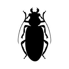 Titan beetle silhouette