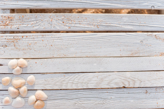 Seashells and some sand on wooden boards painted in white paint.