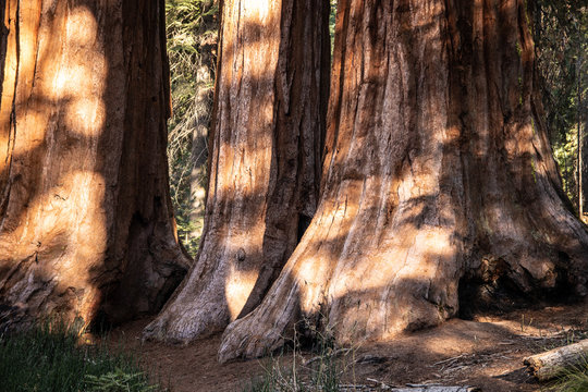 yosemite national park