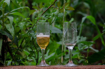 taça bebida quebrada