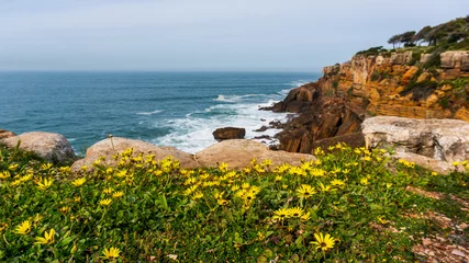 Fotobehang Beautiful landscape with yellow wildflowers (Arctotheca calendula) on a rugged cliffs and turquoise water background. © Gabriel