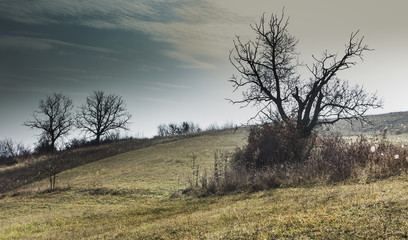 Obraz premium Peaceful scene in foggy dusk about a valley with a small village Sic, Romania