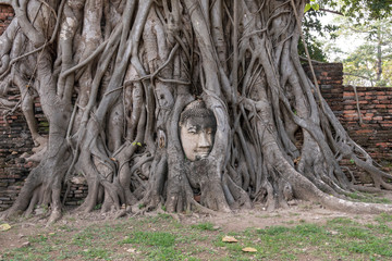 Cabeza de Buda entre raices, Ayutthaya, Tailandia