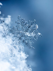 snowflake on snow, snow - obrazy, fototapety, plakaty
