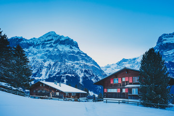 Alpine mountain landscape in the frosty morning. Morning in Grindelwald.