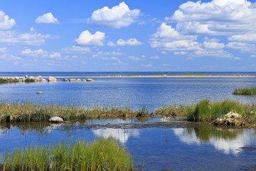 Baltic Sea seashore landscape behind Pärnu.