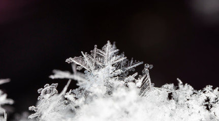 snowflake on snow, snow