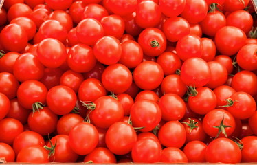 Organics cherry tomatoes sold at Ljubljana central market. Slovenia