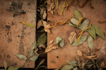 Yellow leaves on a textured background