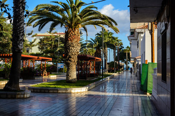 Fototapeta na wymiar beautiful streets of Lass Galletas, Marina del Sur, Las Galletas, Tenerife, Spain