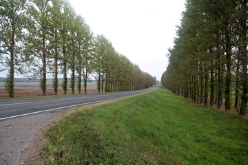 Country highway