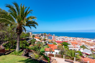 Fototapeta na wymiar Puerto de la Cruz cityscape from Taoro park, Tenerife, Canary islands, Spain