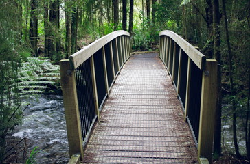 Image of a wooden foot bridge crossing a river in a forest