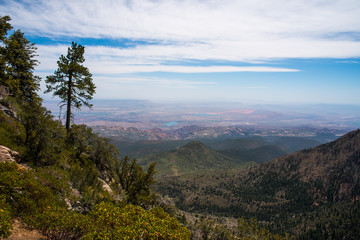 Vast Southern Utah landscape from Pine Valley Mountain