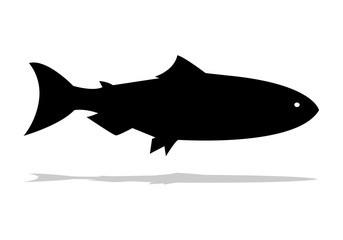 shark isolated on white background,silhouettes of groups of sea fishes. Colony of small fish. Icon with river taxers. - Vector