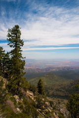 Obraz premium Great view from the mountain top, Pine Valley Mt, Utah