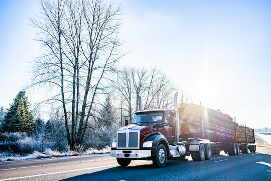 Big rig semi truck with two semi trailers transporting logs on the winter road with frosty trees and sunshine