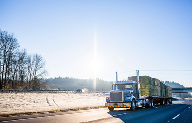 Blue Big rig semi truck transporting bales of hay on pallets on two flat bed semi trailers on winter road in sunshine © vit