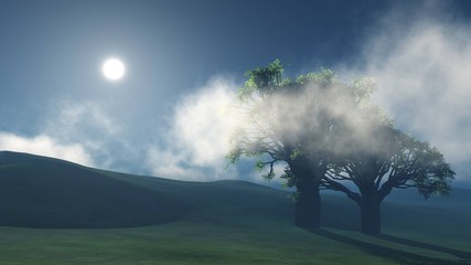 The hills in the fog, the trees on the hill in the fog, the morning fog in the hills and two trees,