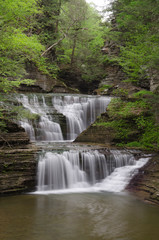waterfall in the forest