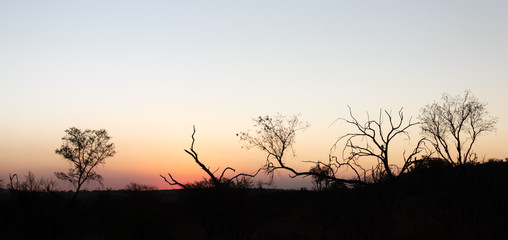 African sunset panarama