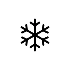 Fotobehang snowflake simple icon © Reni