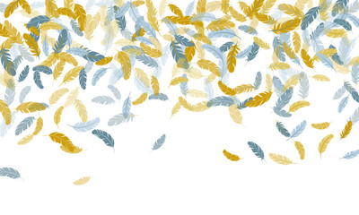 Falling feather elements soft vector design.
