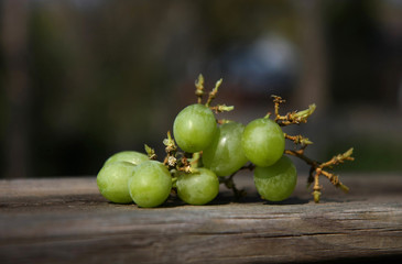 grapes