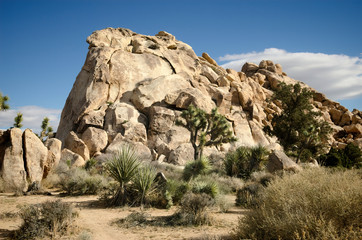 Joshawa Tree Rocks