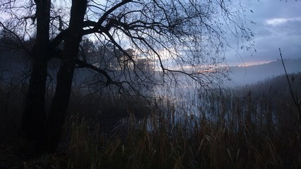 Wald und See im Nebel