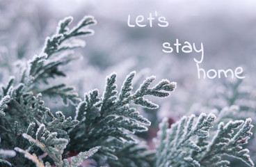 Beautiful morning frost on green thuja branch at early winter morning with lettering Lets stay...