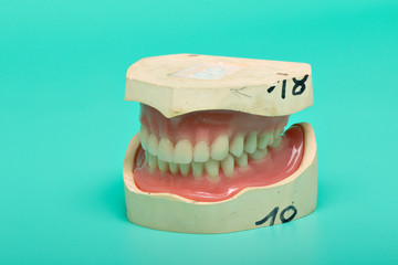 Dentures model with medical instruments