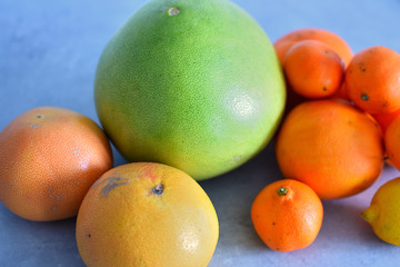 gros plan sur divers agrumes