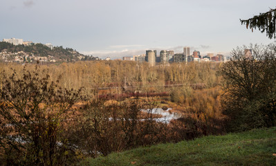 Fototapeta premium Portland Skyline from Oaks Bottom