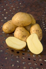 Solanum tuberosum - Monalisa potato