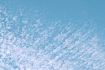 Fototapeta na wymiar Cirrocumulus clouds in the clear bright blue sky in the afternoon