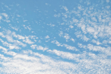 Cirrocumulus clouds in the clear bright blue sky in the afternoon