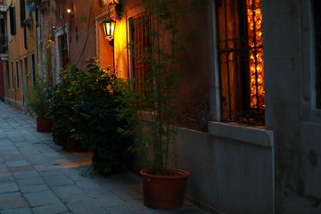 Outdoor view with plants on small street in Italy