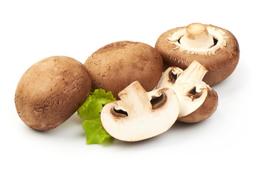 Champignons Mushrooms with lettuce, close-up, isolated on white background