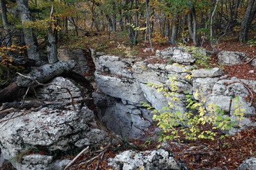 Autumn forest of Crimean mountains scenic view, Russia