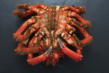 galician crab from the estuary, wild fresh seafood