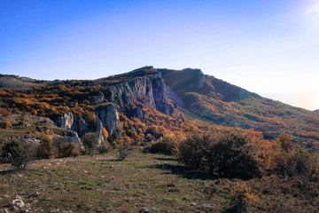 Red autumn forest and Crimean Mountains panorama, Russia