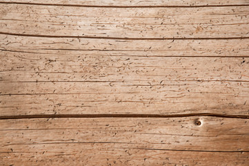 Wood background texture