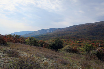 Fototapeta na wymiar Autumn forest and Crimean Mountains view near Yalta, Russia