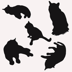 Silhouettes of cats in different poses vector illustration